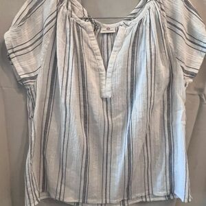 Ag Adriano Goldschmied Blue and White Short Sleeve Blouse